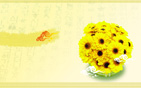 Flower Wallpapers new 15